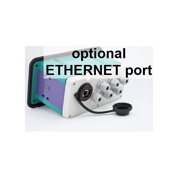 Laumas - WDESK-G INDICATORE DI PESO IP67 (per pesatura e dosaggio)